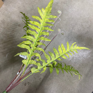 Ginger Fern Spray 28"