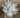 Supreme Dusty Miller Bush Grey 16" - Uncategorized Silk