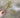 Direct Export Seeded Branch Green - Artificial Non-Flowering Plants Silk