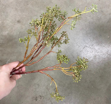 Direct Export Seeded Branch Green - Artificial Non-Flowering Plants Silk