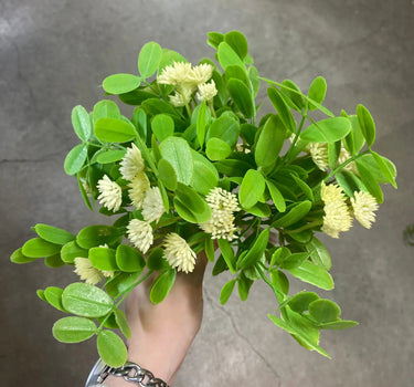 AmBest Clover Flower Bush Cream 9" - Uncategorized Silk