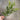 AmBest Myrtle Spray Green-Yellow 27" - Uncategorized Silk