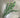 Le Fleur Eucalyptus Spray Dark Green 29" - Uncategorized Silk