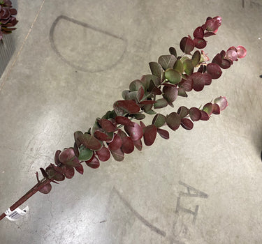 Le Fleur Eucalyptus Spray Burgundy 29" - Uncategorized Silk