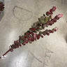 Le Fleur Eucalyptus Spray Burgundy 29" - Uncategorized Silk