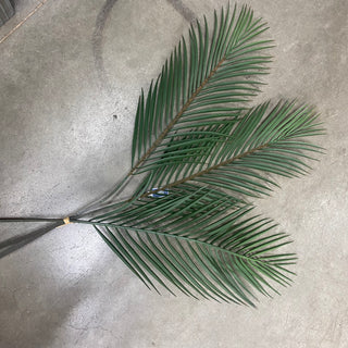 Palm Leaf Bundle X3 Green 40"