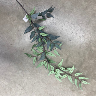 Italian Ruscus Leaf Spray 36"