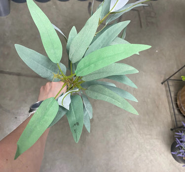 AmBest Eucalyptus Spray Light Green " - Uncategorized Silk