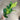 Direct Export Fiddle Leaf Spray Green 33" - Artificial Non-Flowering Plants Silk