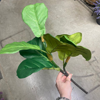 Fiddle Leaf Spray Green 24"