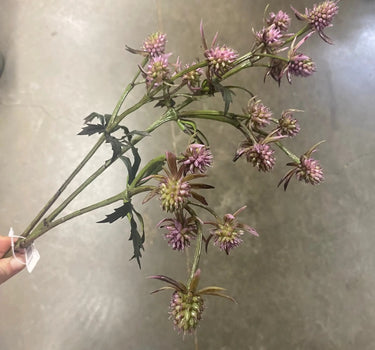 Supreme Thistle Spray 25" Mauve - Silk