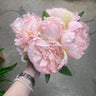AmBest Peony Bundle Peach 10" - Artificial Flowering Plants Silk