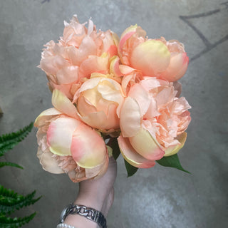 10" Peony Bundle LC