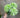 Le Fleur Snowball Hydrangea Bundle Green 11" - Artificial Flora Silk