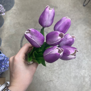 Tulip Stem Violet FT 12"