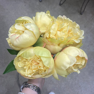 10" Peony Bundle LY