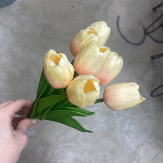 Tulip Stem Coral Yellow FT 12"