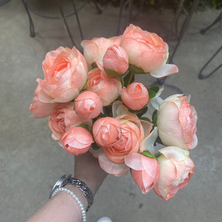 Ranunculus 17" (Blush)