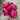 AmBest Peony Bundle Beauty 10" - Artificial Flora Silk