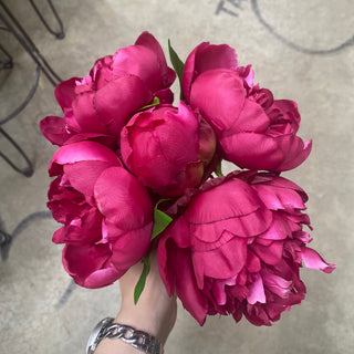 10" Peony Bundle AB