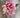 Supreme Hydrangea Stem Pink 33" - Uncategorized Silk