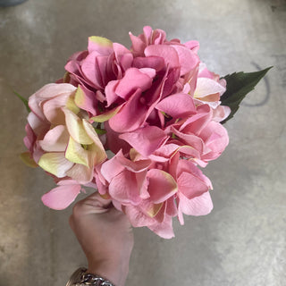 Hydrangea Stem 33" PK