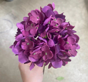AmBest Fresh Touch Hydrangea Stem Violet Purple 21" - Uncategorized Silk