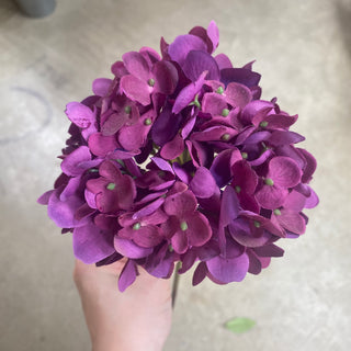 Hydrangea Violet Purple FT 21"