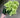 Fortune Hydrangea Green - Silk