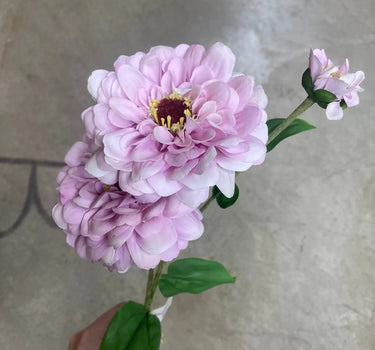 AmBest Fresh Touch Zinnia Spray Lavender 25" - Uncategorized Silk