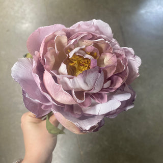 Dried Peony Stem Lavender