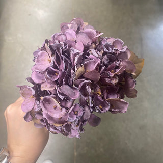 Dried Hydrangea Spray Purple 13"