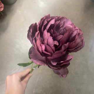 Peony Spray Plum 24.5"
