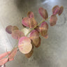 Le Fleur Eucalyptus Spray Green-Burgundy 32.5" - Artificial Non-Flowering Plants Silk