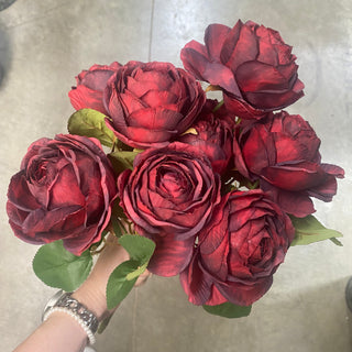 Cabbage Rose Bush (x10) Red 19"