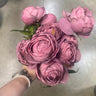 Le Fleur Cabbage Rose Bush Violet 19" - Uncategorized Silk