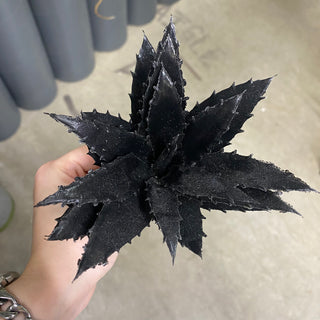 Succulent Pick Black 10"