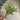 Supreme Succulent Pick Grey-Green 7'' - Uncategorized Silk