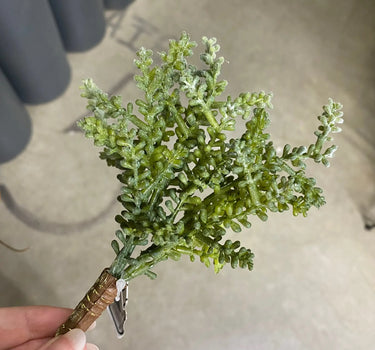 Supreme Succulent Pick Grey-Green 7'' - Uncategorized Silk