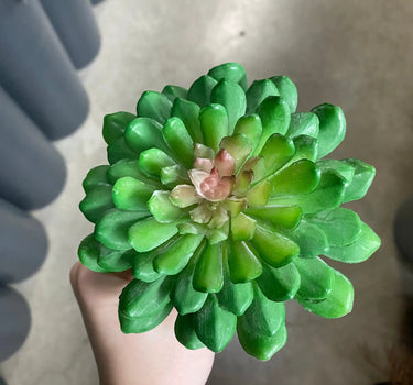 Supreme Lotus Succulent Pick Green 6" - Artificial Non-Flowering Plants Silk