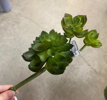Supreme Succulent Stem 9" - Silk