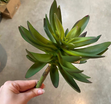 Supreme Succulent Pick Green 9" - Artificial Non-Flowering Plants Silk