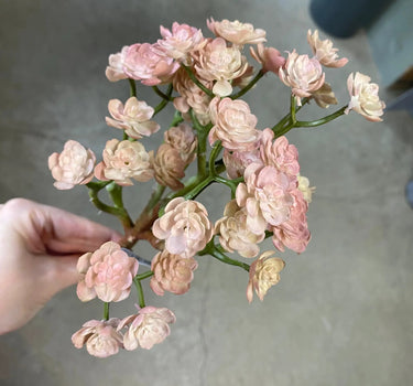 Supreme Mini Echeveria Plant Light Pink - Uncategorized Silk