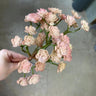 Supreme Mini Echeveria Plant Light Pink - Uncategorized Silk