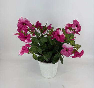 Evergreen Home and Floral Petunia Mauve Potted Plant - Uncategorized