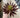 Supreme Succulent Pick Burgundy 9.5" - Uncategorized Silk
