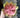 Supreme Echeveria 8.5'' Pink/Green - Uncategorized Silk