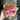 Supreme Echeveria 8.5'' Pink/Green - Uncategorized Silk