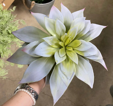 Supreme Butterfly Succulent Grey/Green - Potted Houseplants Silk