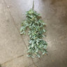 Le Fleur Swan Fern Hanging Bush 30" - Artificial Non-Flowering Plants Silk